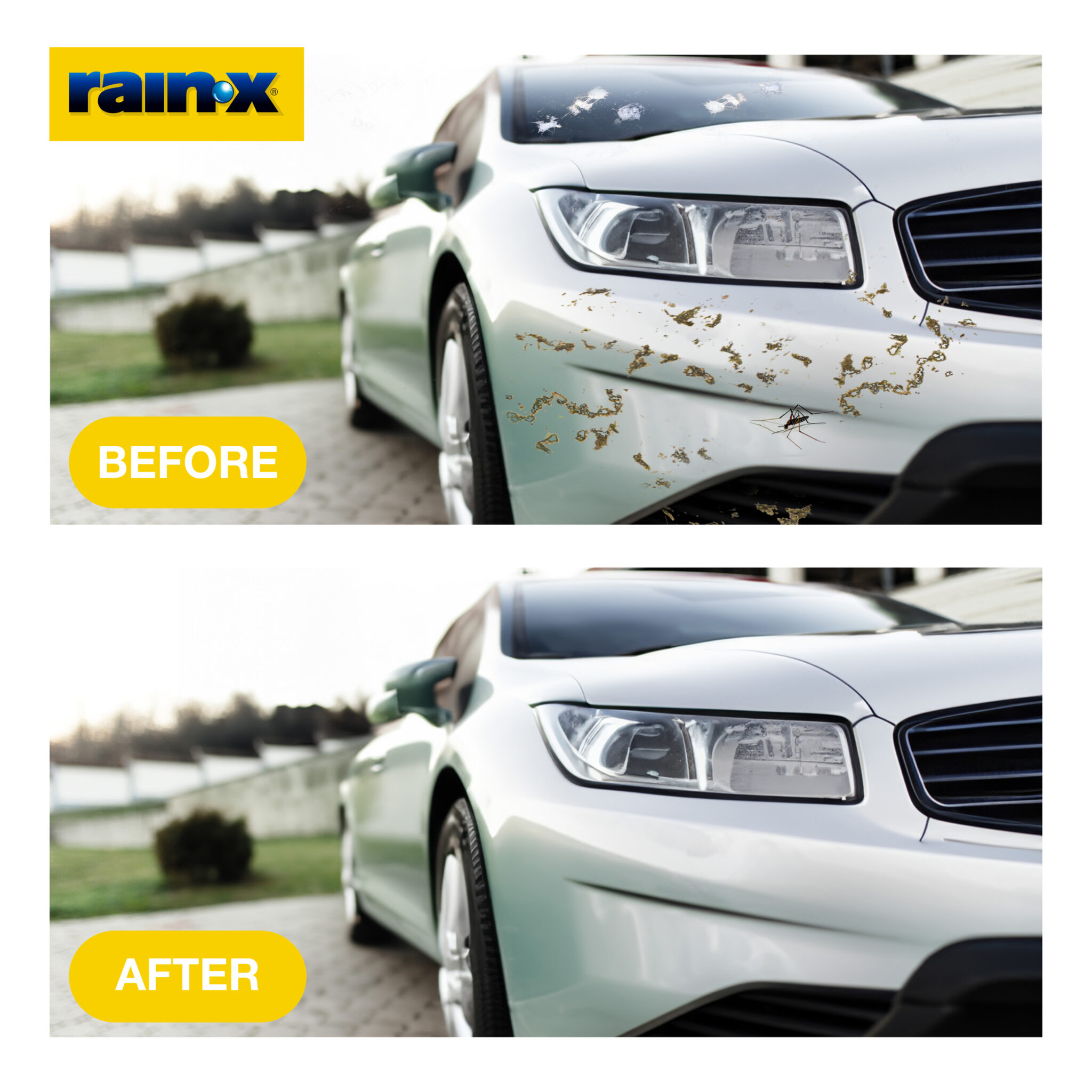 Insect Remover & Protectant | Keep Your Vehicle Spotless